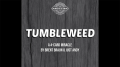Brent Braun and Andy Glass - Tumbleweed (Gimmick Not Included)